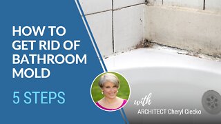 5 Steps To Get Rid Of Mold In The Bathroom EPISODE 8