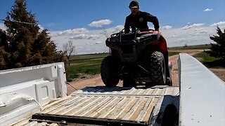 Tagging Calves and Spring Preparations