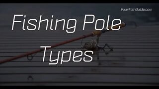 Types of Fishing Poles: Poles Versus Rods ~ Material & Functionality
