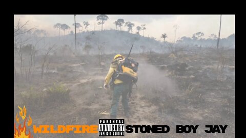 Stoned Boy Jay - Wildfire #WontSignRapper #MaysMusic #Listen #PlanetEarth #Rap