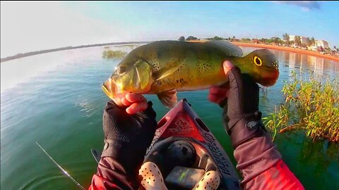 #14 Fishing Peacock Bass - Ultralight Reel Style - Kayak Fishing - Pesca de Tucunaré