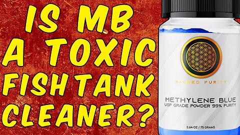 Is Methylene Blue A Toxic Fish Tank Cleaner?
