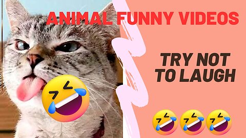 ANIMAL FUNNY/#TRY NOT TO LAUGH# ANIMALVIDEOS#777#