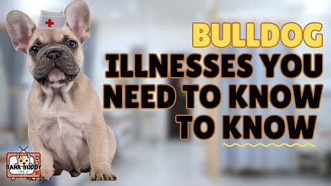 Woof & Wellness: Bulldog illnesses you need to know