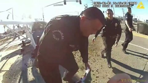 LAPD officers pulls pilot out of plane before being struck by a train