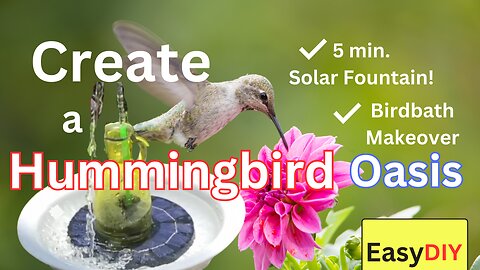 Transform a birdbath into a Hummingbird & Butterfly Oasis - EASY DIY