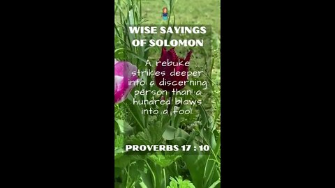 Proverbs 17:10 | NRSV Bible | Wise Sayings of Solomon