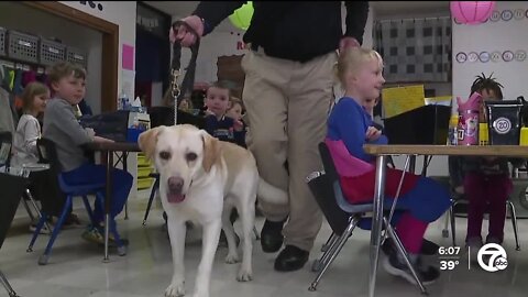 Specially trained dog providing more than comfort in local school district