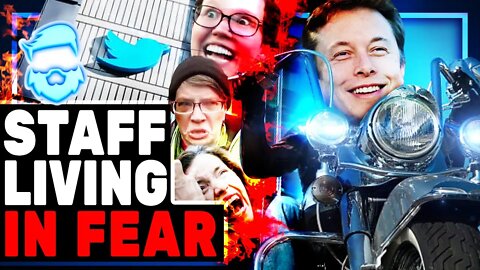Twitter Employees MELTDOWN In Fear Of Elon Musk Hostile Takeover! Require A "Day Of Rest"