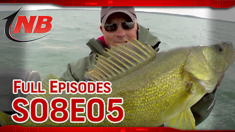 Season 08 Episode 05: Big Fall Walleyes Of Saulte Ste Marie