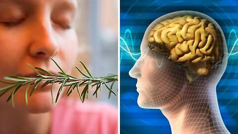 Sniffing Rosemary Can Increase Your Memory By 75%, Study Finds
