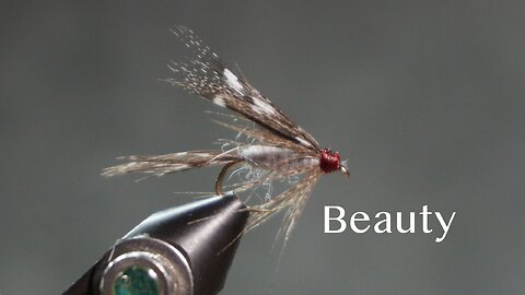 Beauty (from Favorite Flies and Their Histories by Mary Orvis Marbury)