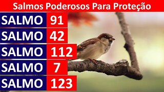 5 SALMOS PARA DIVINA PROTEÇÃO! SALMO 91, SALMO 42, SALMO 112, SALMO 7, SALMO 123