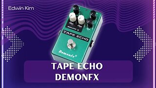 🎸 Tape Echo DemonFx