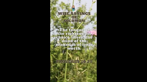 Proverbs 10:20 | Wise Sayings of Solomon