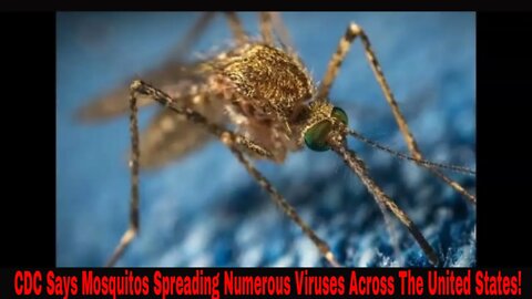 CDC Warns Mosquitos Are Spreading Numerous Viruses Across The United States!