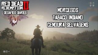 RED DEAD REDEMPTION 2 DESAFIOS DIÁRIOS MORCEGOS E DICAS