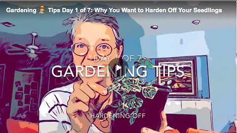 Find out why you should harden off your seedlings