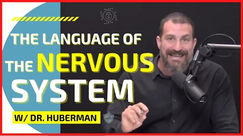 The Nervous System is Misunderstood (w/ @Andrew Huberman )