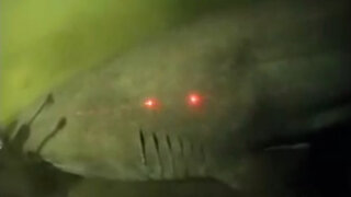 Scientists Find Giant version of Shark on Bottom of Ocean Up Close - Black Demon Shark Sightings