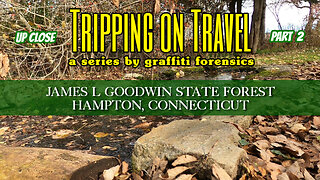 Tripping on Travel: James L Goodwin State Forest 2, Hampton, CT