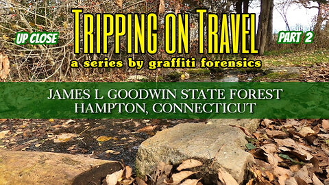 Tripping on Travel: James L Goodwin State Forest 2, Hampton, CT