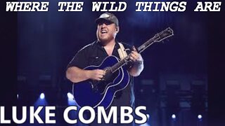 🎵 LUKE COMBS WHERE THE WILD THINGS ARE (LYRICS)