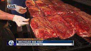 Michigan Rib Fest
