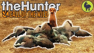 First Hunt with Roxy the Retriever!! theHunter: Call of the Wild