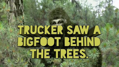 TRUCK DRIVER'S BIGFOOT ENCOUNTER IN WASHINGTON.