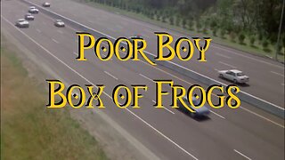 Poor Boy Box Of Frogs