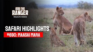 Safari Highlights #690: 20 April 2022 | Lalashe Maasai Mara | Latest Wildlife Sightings