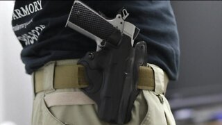 Manatee County employees will soon be able to carry concealed firearms at work