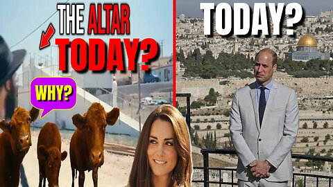 1 Hour Ago: The Red Heifers are Being SACRIFICED Today in Jerusalem and Prince William is There? HERE WE GOOOO!! #RUMBLETAKEOVER #RUMBLERANT #RUMBE