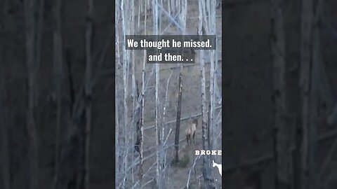 we thought he missed. . .AND THEN. . . #elk #elkhunting #shortsvideo #shortsfeed #hunting #wildlife