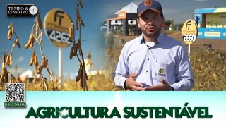 FT Sementes na Show Tec de Maracaju apresenta suas cultivares de soja mais produtivas