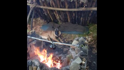 Bushcraft camping with Agir at my survival shelter