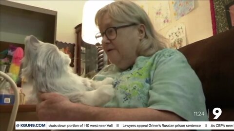 South Carolina woman finds joy with robotic cat after real one dies of cancer