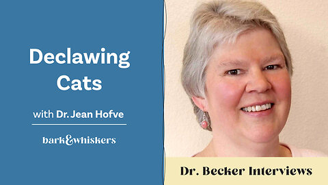Dr. Becker Interviews Dr. Hofve About Declawing Cats