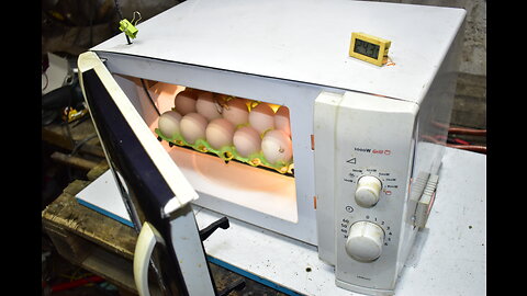 Homemade incubator - How to make an egg incubator from microwave oven