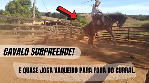 CAVALO SURPREENDE VAQUEIRO PO QUASE JOGA PARA FORA DO CURRAL