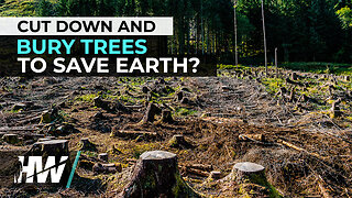 CUT DOWN AND BURY TREES TO SAVE EARTH? | The HighWire with Del Bigtree