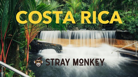 Exploring Costa Rica - A Stray Monkey Trip