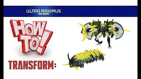 💥 How to Transform Predacon Retrax | Beast Wars Transformers