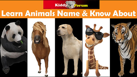 Animals Name for Kids Learning | Children Learning | Toddler Learning | Fun Learning