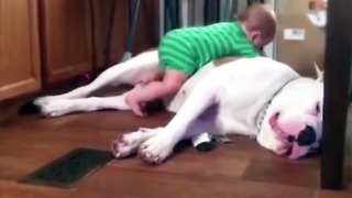 When babies and dogs play together, things get ridiculously cute