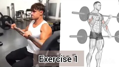 5 best bicep and forearm combo exercises top bicep and forearm exercises