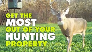 Get the Most Out of Your Hunting Land