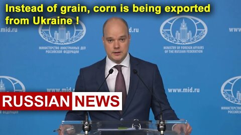 Instead of grain, corn is being exported from Ukraine! Russian news. Ukraine News