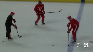Assistant captains Danny DeKeyser, Marc Staal bolster Red Wings defense